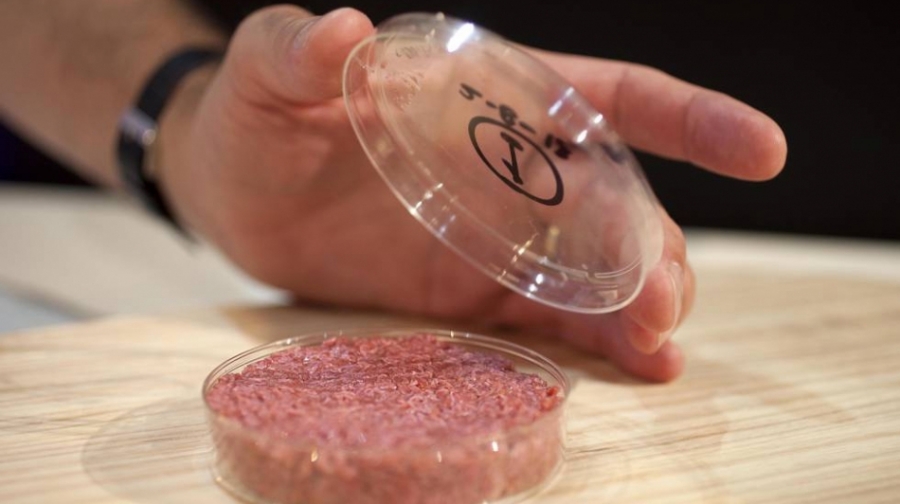 Así se hacen la carne y el pescado de laboratorio