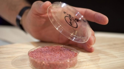 Así se hacen la carne y el pescado de laboratorio